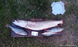 20150913183951.jpg