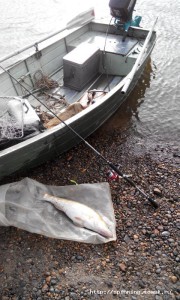 20150924153827.jpg