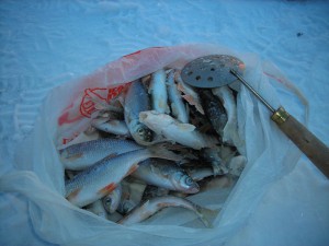 DSCN4510.JPG