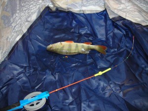 DSCN4508.JPG