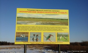 20151115_145719.jpg