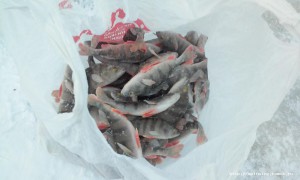 20151115_152841.jpg