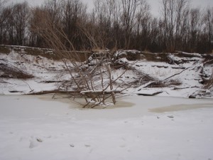 Лед1.JPG
