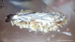 IMG_20160204_125447.jpg