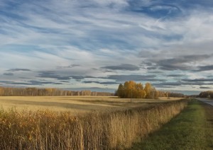 PICT0003-2.jpg