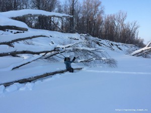 IMG_0602.JPG