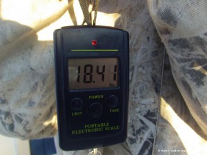 GEDC0291.JPG