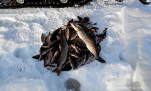 20160302161524.jpg