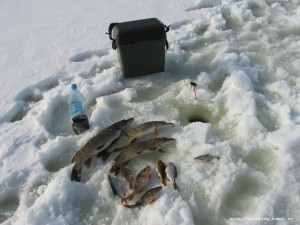 IMG_9637.JPG