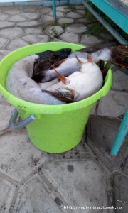 image (13).jpg