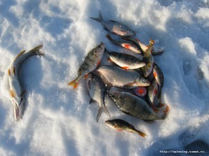 IMG_0003.JPG