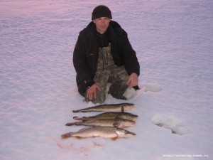 IMG_2125_.jpg
