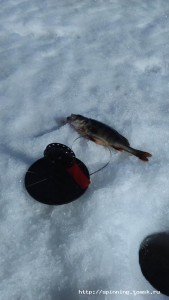 IMG_20160402_120406.jpg
