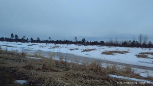IMG_20160407_105423.jpg