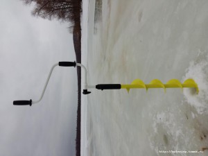 20160326_115917.jpg