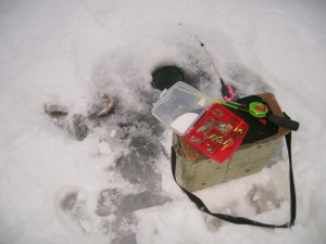 f6235-dd48a0.jpg