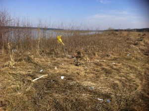 IMG_0273_thumb.jpg