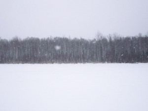 f6236-178011.jpg