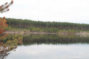 IMG_3504.JPG