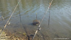 IMG_20160503_144056.jpg