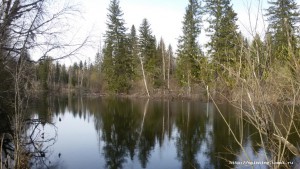 20160507_165919.jpg