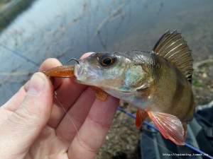 IMG_20160515_155243.jpg