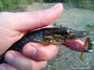 IMG_20160515_183627.jpg