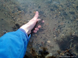 IMG_20160515_183718.jpg