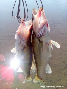 IMG_20160522_095057.jpg
