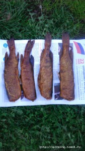 IMG-20160523-WA0016.jpg