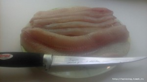 IMG-20160523-WA0015.jpg