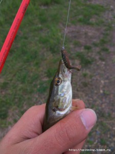 IMG_20160529_160632.jpg