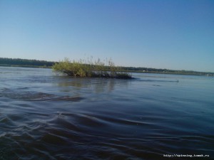 IMG_20160604_063659.jpg