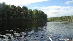 DSC02440.JPG