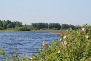 IMG_3510.JPG