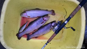 IMG-20160702-WA0007.jpg