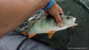 20160706_173849.jpg