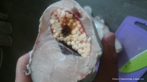 IMG-20160709-WA0003.jpeg