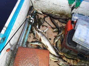 IMG-20160714-WA0014.jpg