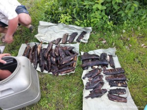 IMG-20160714-WA0015.jpg