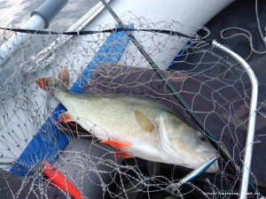 IMG_20160717_050554.jpg