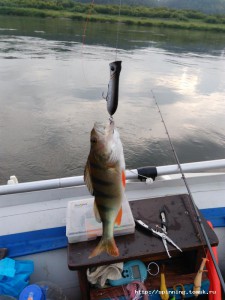 IMG_20160717_061822.jpg