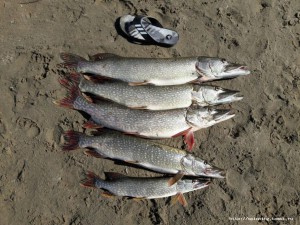 IMG-20160803-WA0010.jpg