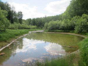 IMG_1759.JPG