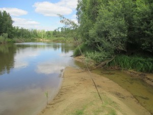 IMG_1763.JPG