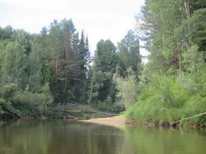 IMG_1768.JPG