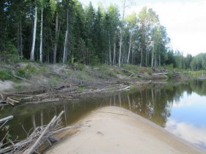IMG_1782.JPG