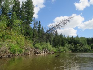 IMG_1810.JPG