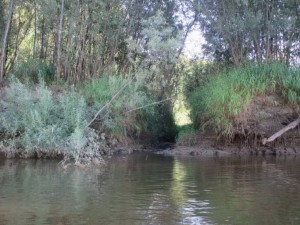 IMG_1830.JPG