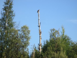 IMG_1834.JPG